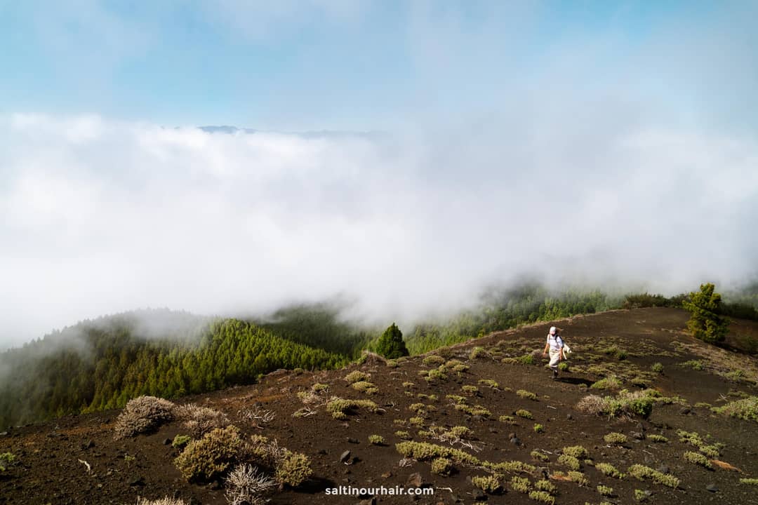 A person sits on a rocky, shrub-covered hillside in La Palma, overlooking a forested area with clouds drifting over the landscape&mdash;an idyllic scene from any Canary Islands travel guide.