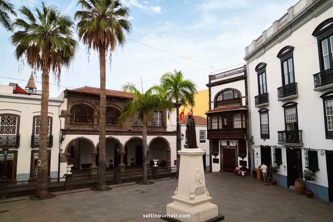 Town square in La Palma with a statue on a pedestal, surrounded by palm trees and historic balcony-lined buildings under a partly cloudy sky&mdash;a charming Canary Islands scene perfect for any travel guide.