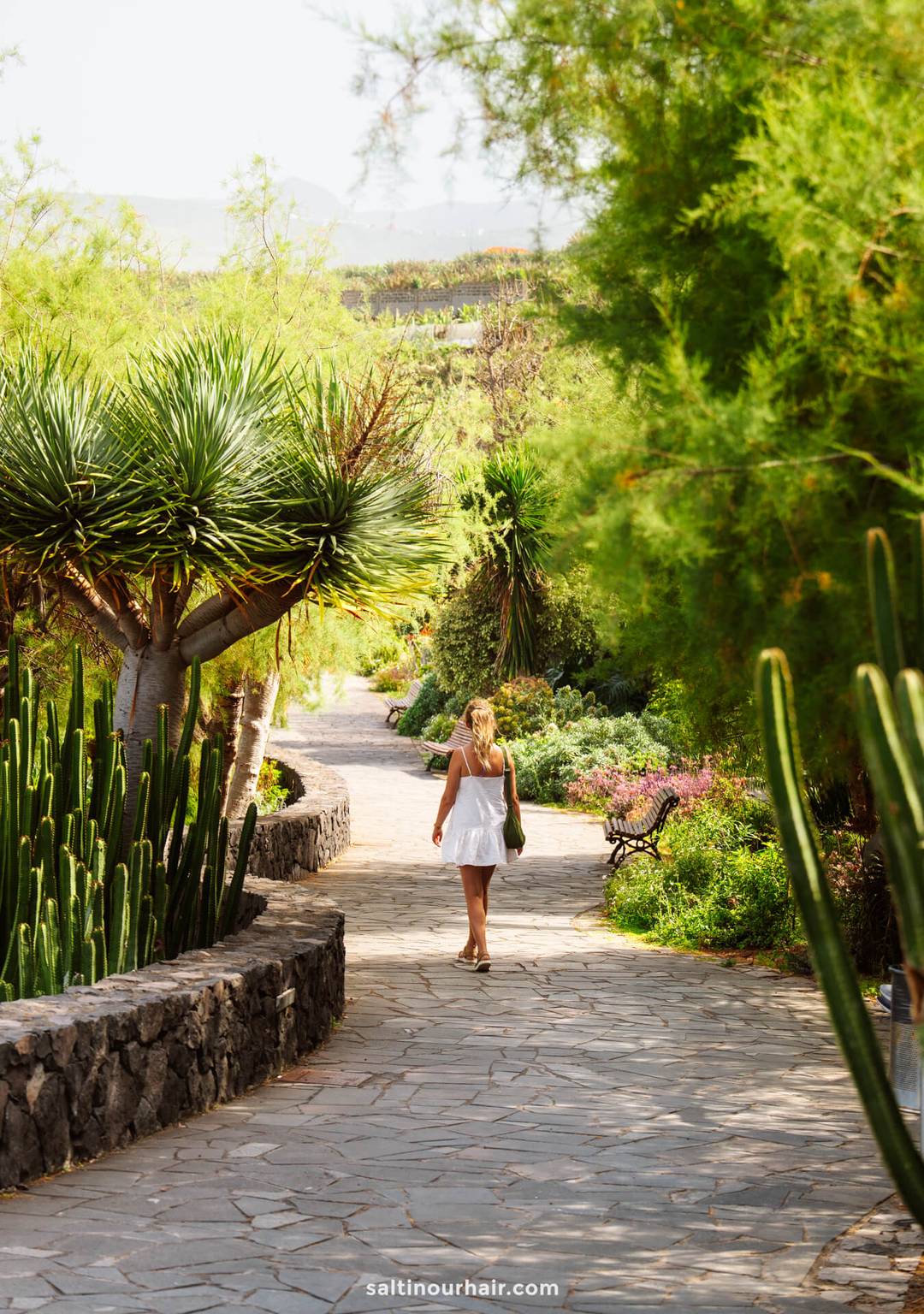 A woman in a white dress strolls down a stone path in a lush, sunlit botanical garden on La Palma, surrounded by cacti and green plants&mdash;a scene perfect for any Canary Islands travel guide.