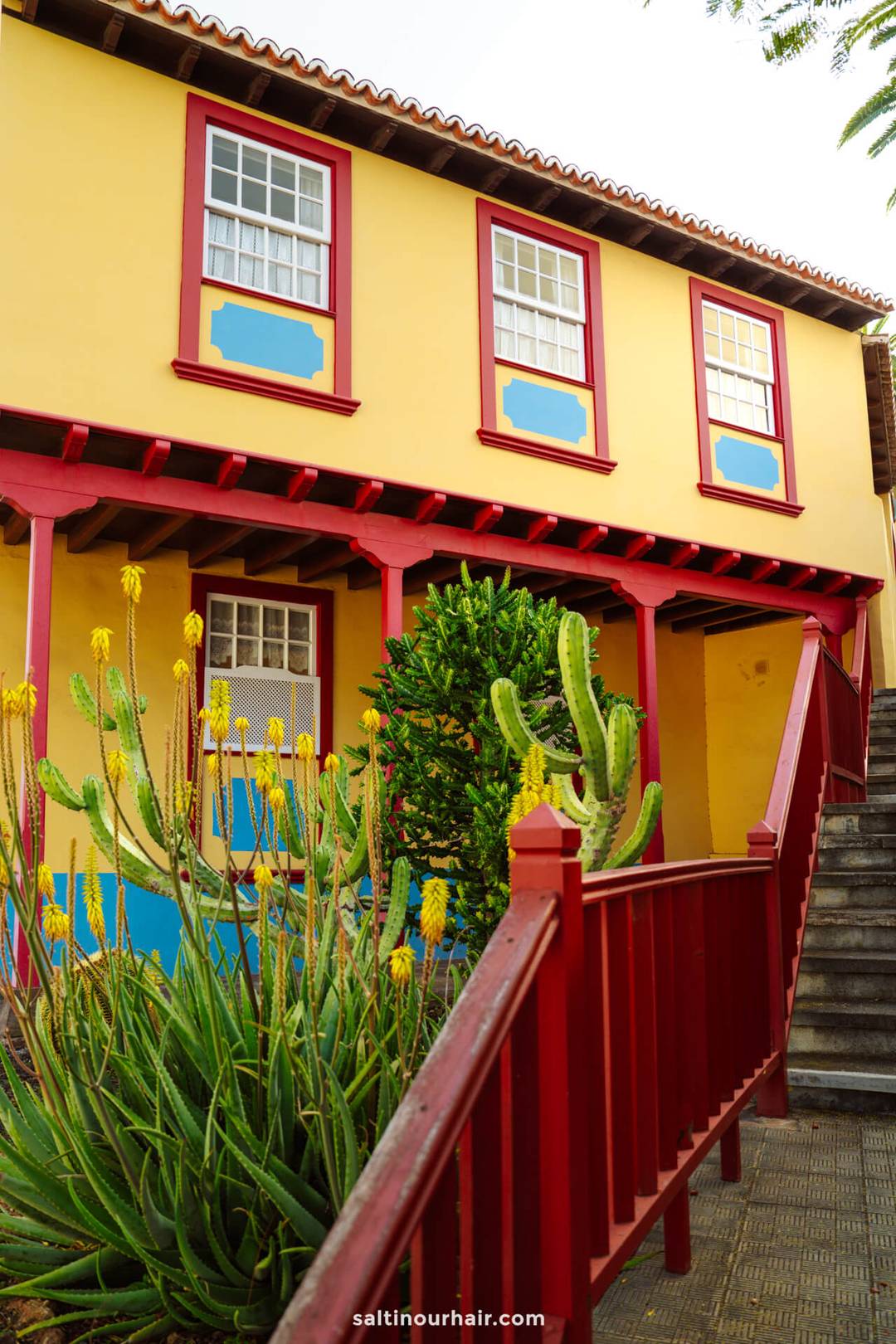 A yellow building with red trim features three windows, blue accents, and a red staircase surrounded by green cactus plants in front&mdash;a vibrant scene straight from a La Palma travel guide in the Canary Islands.