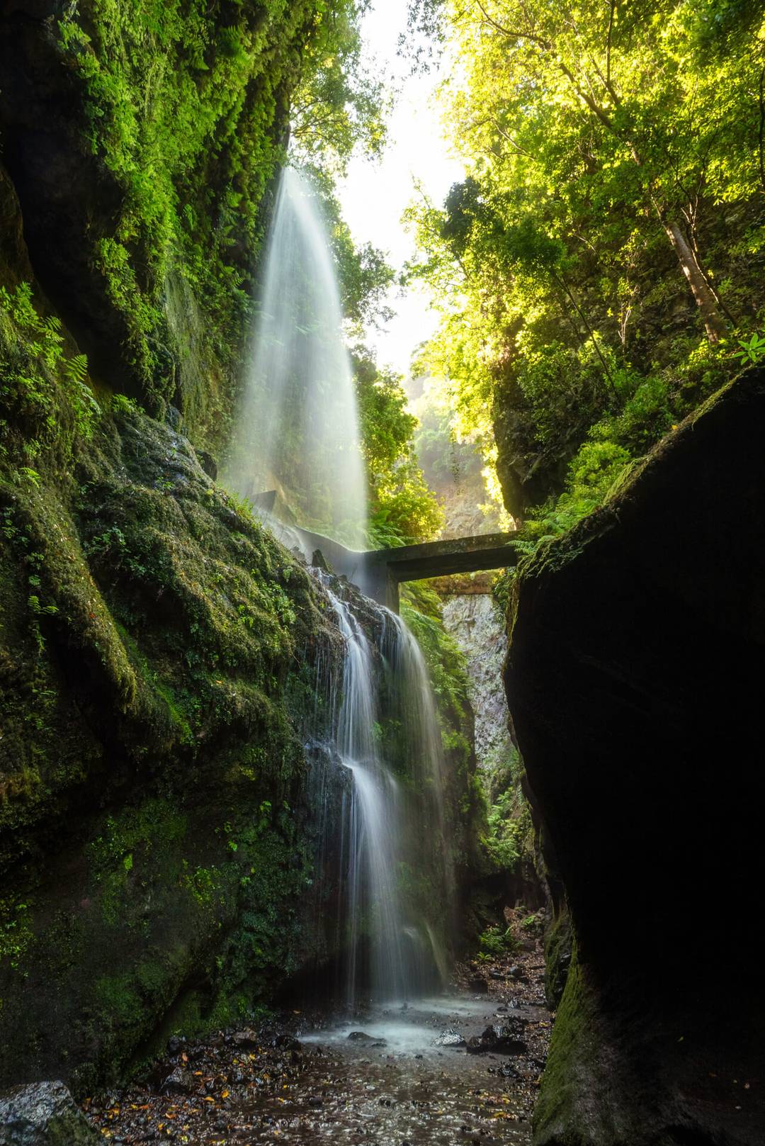 A waterfall cascades over moss-covered rocks beneath a small bridge, surrounded by tall, green trees with sunlight streaming through the foliage&mdash;a hidden gem in La Palma, Canary Islands.