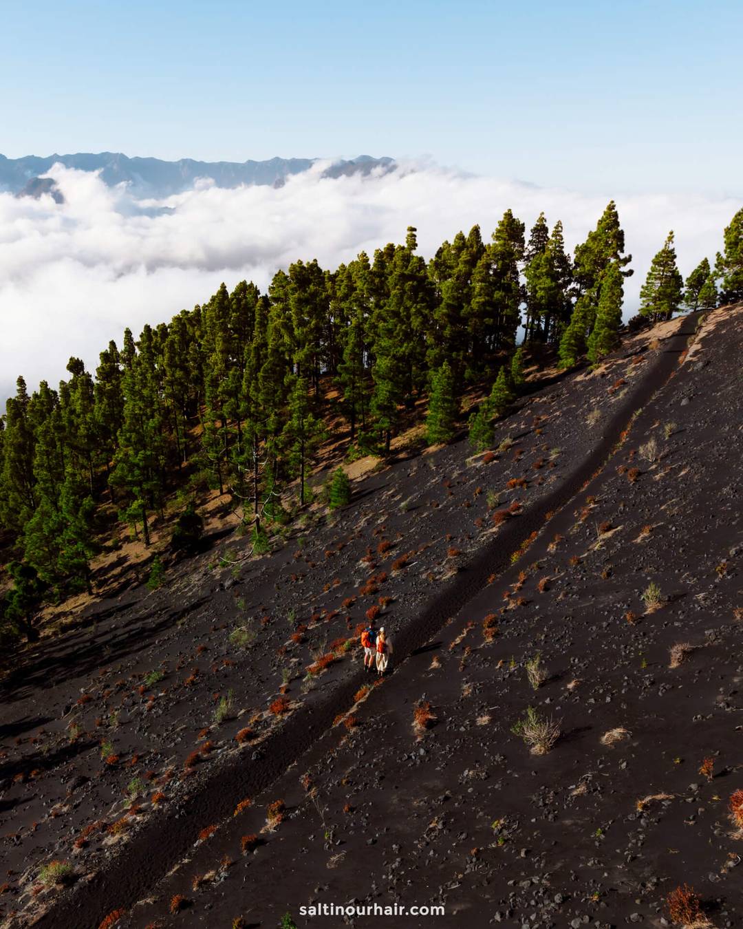 A person rides a horse along a narrow dirt trail on a dark, rocky hillside in La Palma, Canary Islands, with pine trees and clouds drifting in the background&mdash;a scene straight from a travel guide.