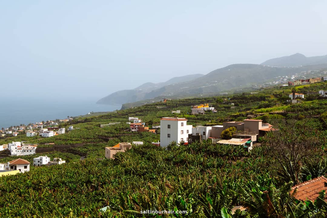 Coastal hillside landscape with terraced banana plantations, scattered houses, and mountains in the background near the sea&mdash;an iconic scene from La Palma in the Canary Islands.