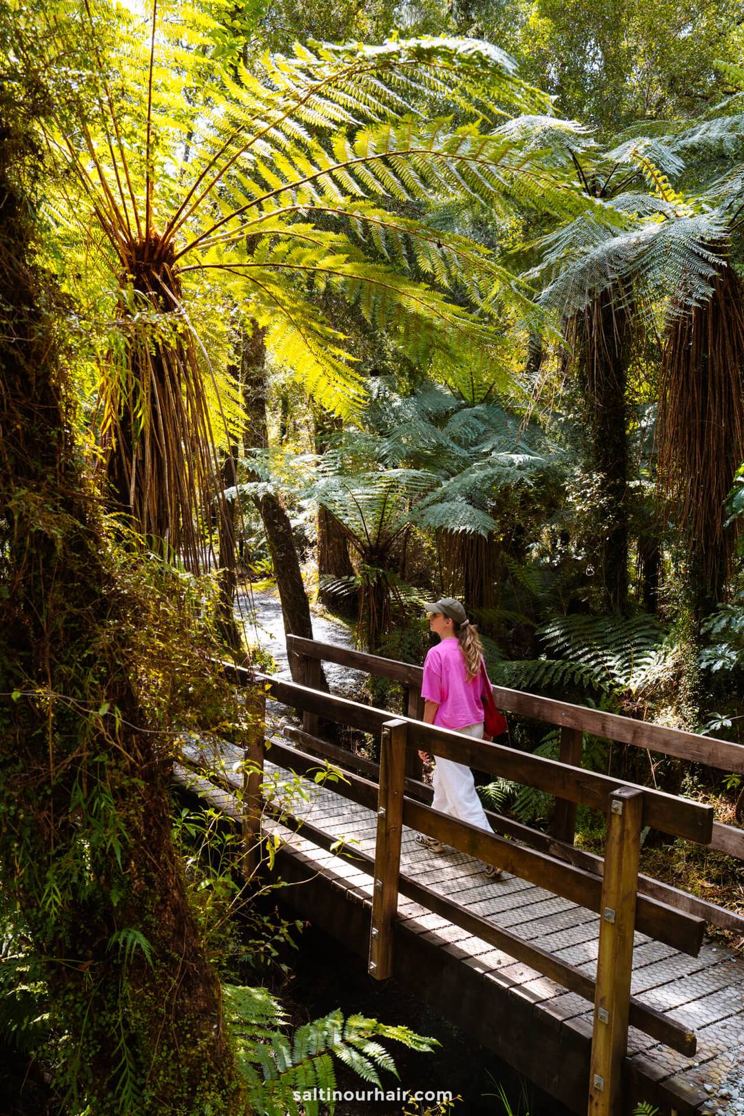 A person wearing a pink top and white pants walks across a wooden bridge in a lush, green forest&mdash;an idyllic scene perfect for any New Zealand South Island itinerary, with large ferns and sunlight filtering through the trees.