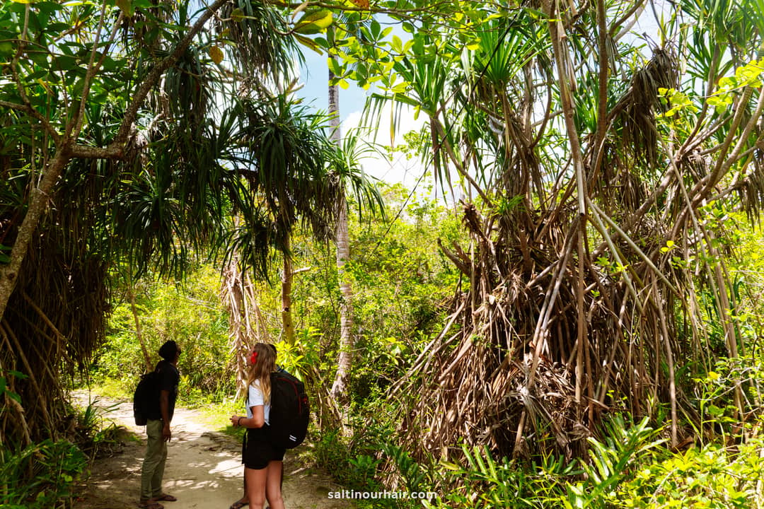 Two hikers with backpacks walking a jungle path through pandanus trees on the Koggala Lake Loop in Sri Lanka.