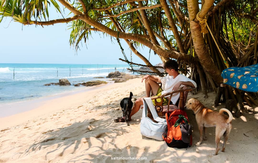 Man sitting in a wooden chair under pandanus trees at Coconut Beach in Ahangama, Sri Lanka, with two local dogs nearby.