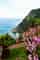 16 Unmissable Things to do in São Miguel, Azores