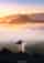 La Palma, Canary Islands: A First-Timer’s Travel Guide