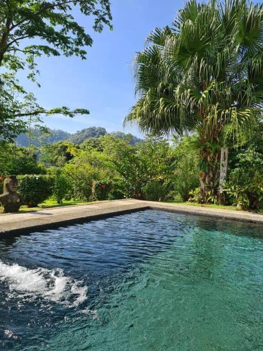 A swimming pool with clear water is surrounded by lush tropical plants and trees at Los Gallitos Eco Lodge, offering eco-friendly accommodation with hills visible in the background under a blue sky.