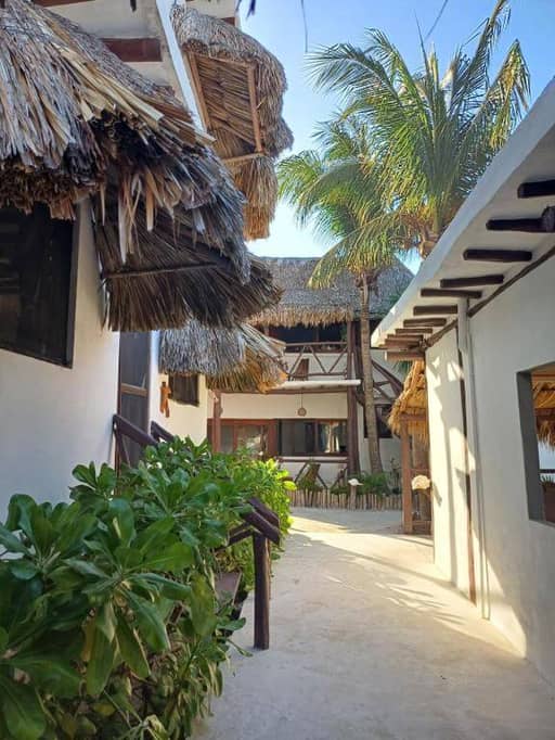 A narrow pathway lined with green plants leads past white buildings with thatched roofs and wooden beams at Holbox Casa Sofia, with palm trees and blue sky in the background.