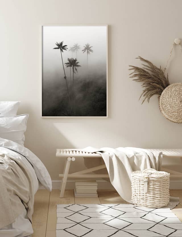 Lost Palms