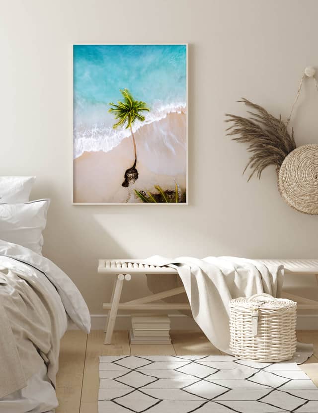 The Leaning Palm