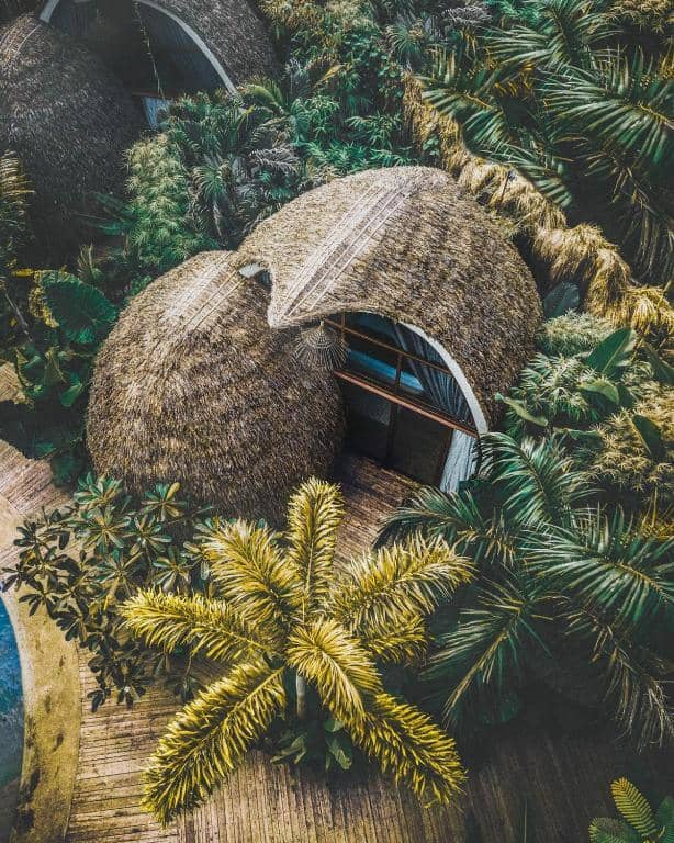 Aerial view of a dome-shaped thatched-roof building at Panorama Beach Club, El Nido, surrounded by dense tropical plants and palm trees.