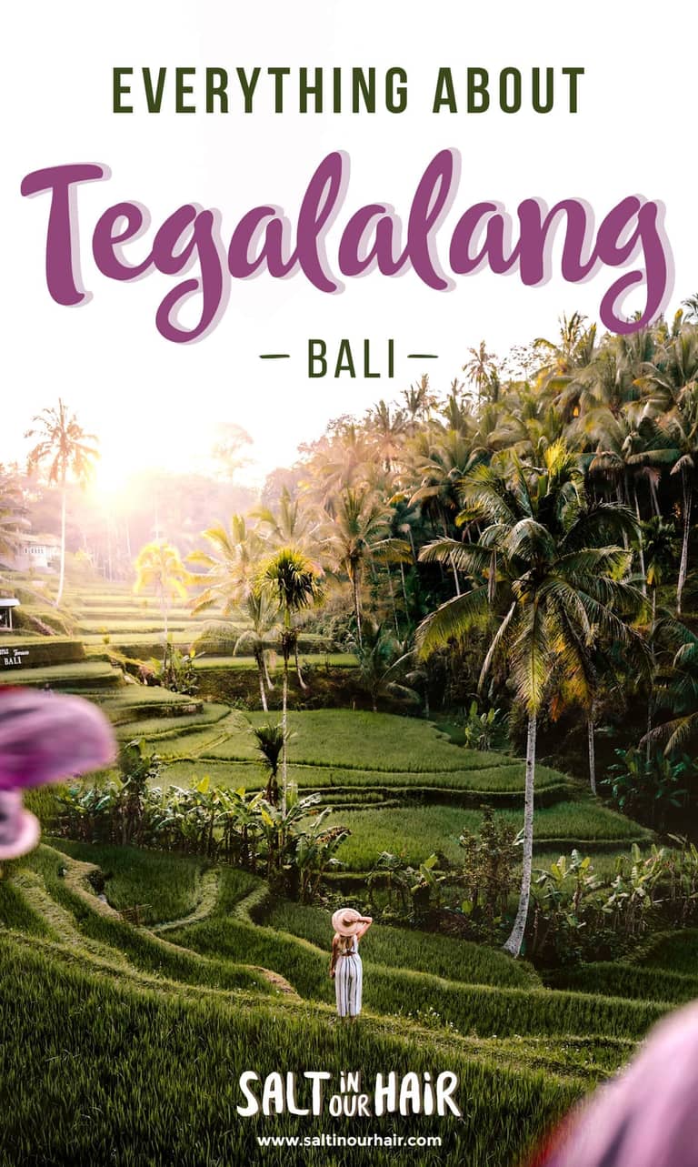 Tegalalang Rice Terrace at Ubud, Bali