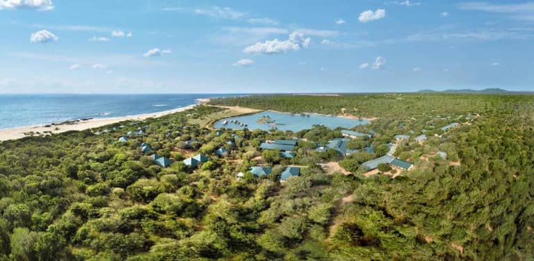 Kaneel Wild Yala