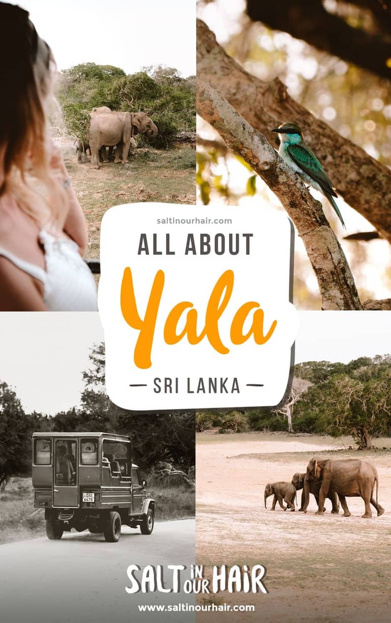 Zo Bezoek je Yala National Park (Alles wat je Moet Weten)
