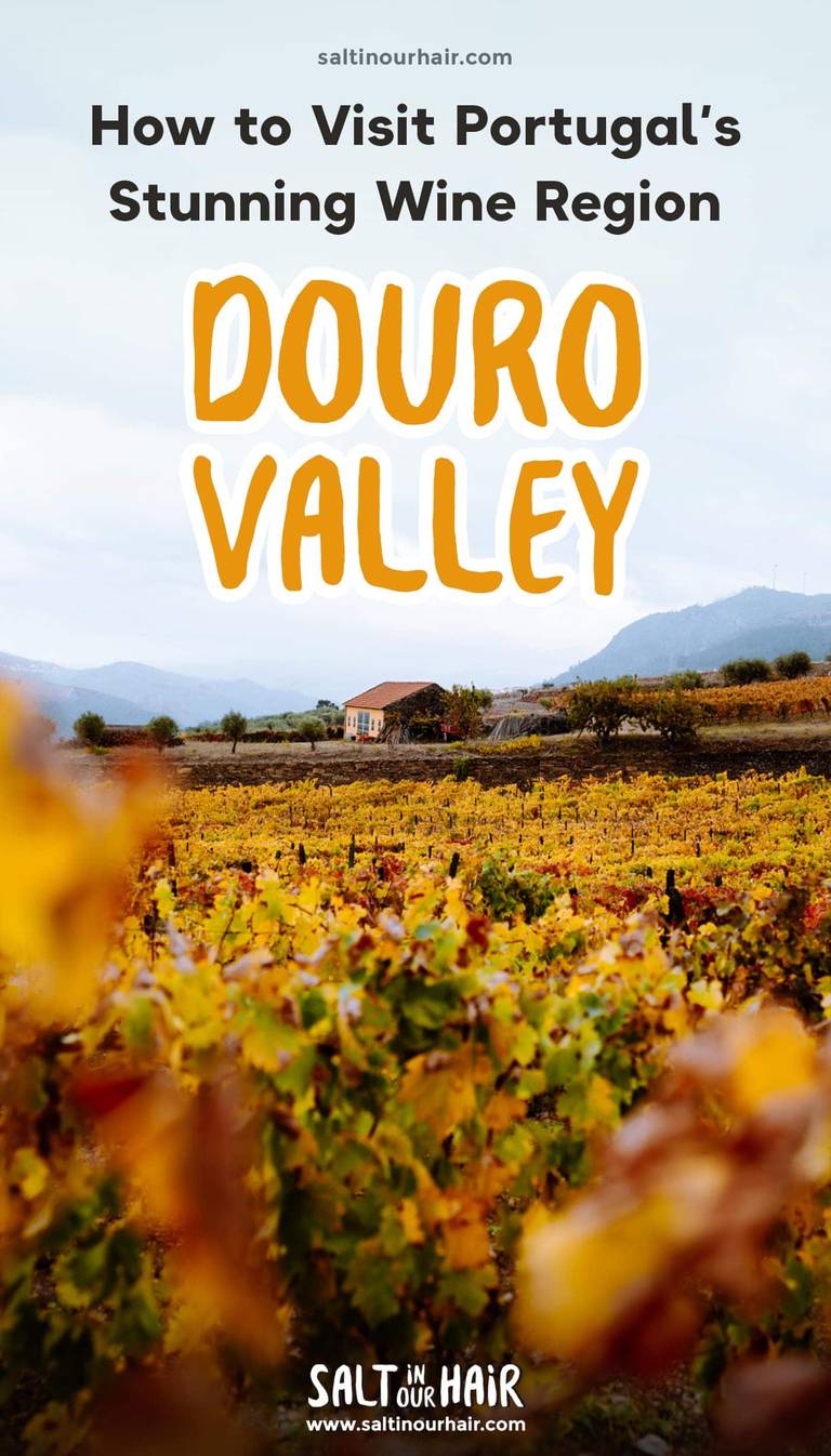 Douro Valley: Portugal’s Stunning Wine Region