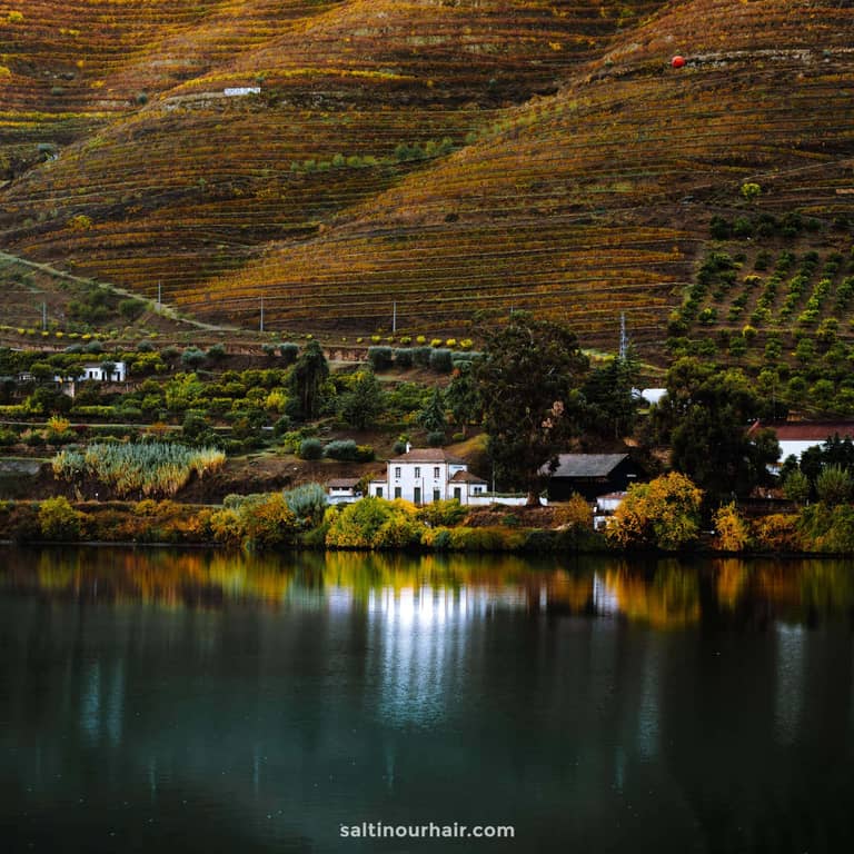Douro Valley: Portugal’s Stunning Wine Region