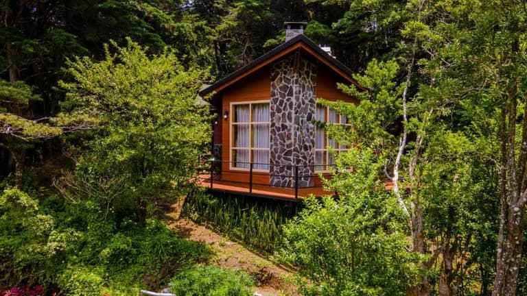 Los Pinos Lodge