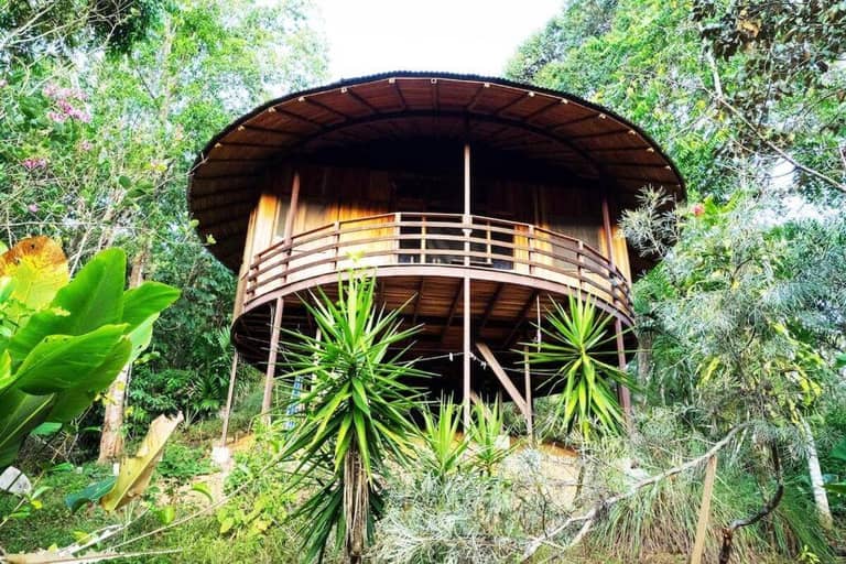 A round wooden house on stilts is surrounded by lush tropical plants and trees, evoking the serene atmosphere of Nauyaca Paradise Lodge.