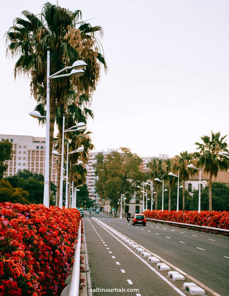 Renting a Car in Spain in 2026: All you need to know
