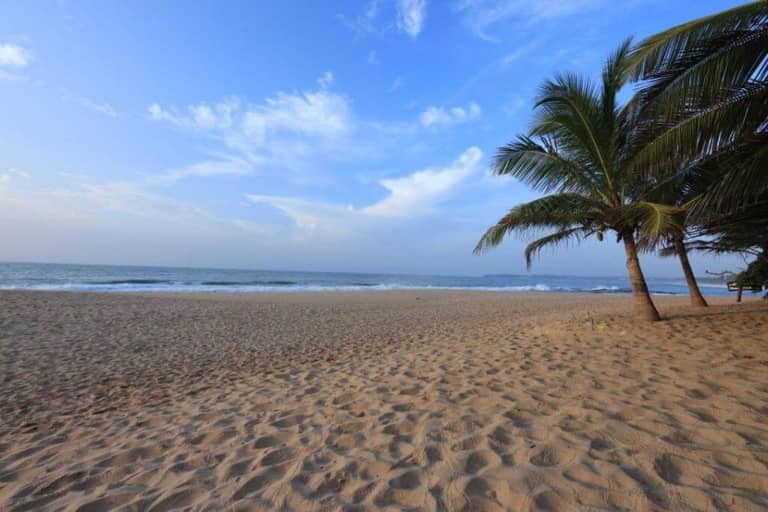 A sandy beach with gentle ocean waves, clear blue sky, and palm trees on the right side of the frame near Mangrove Cabana in Tangalle.