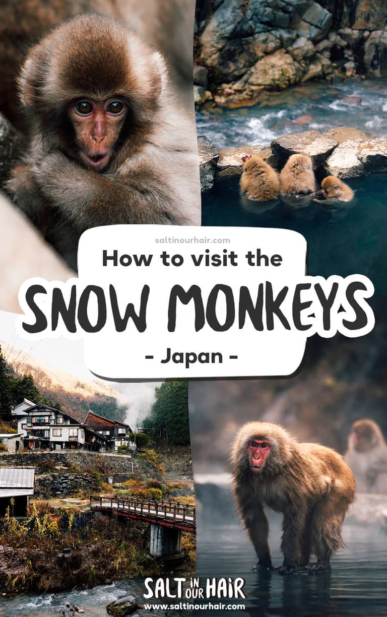 Zo bezoek je de Sneeuwapen in Japan