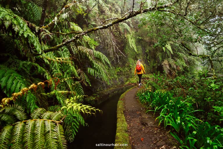 Madeira Hiking Fees: How to Book Trails & Rules