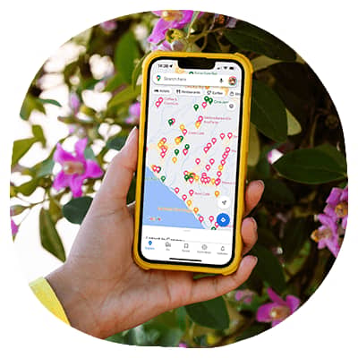 google maps phone