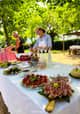 Farm-to-Table Tour Italy