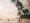 Top 10 Paradise Beaches in Sri Lanka