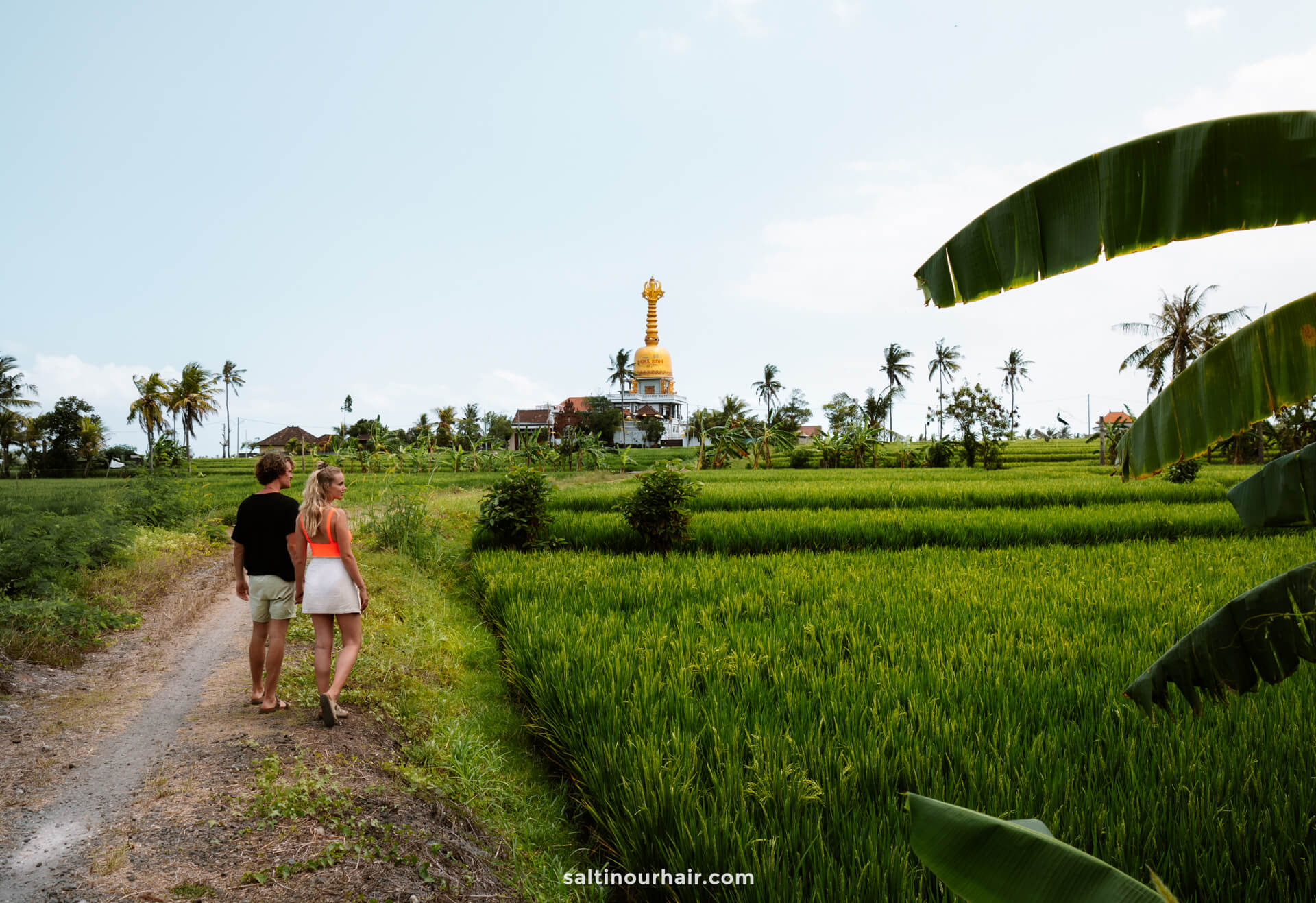 things to do canggu rice paddies walk