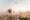 cappadocia hot air balloon