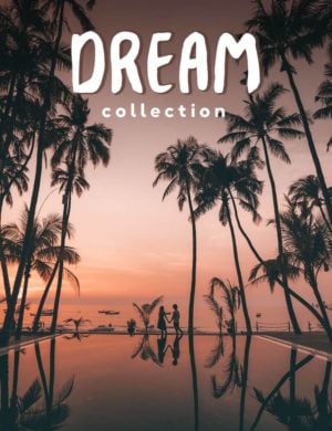 salt in our hair presets dream collection