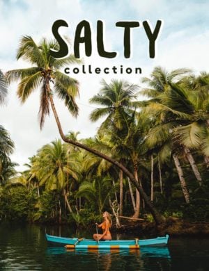 salt in our hair presets salty collection
