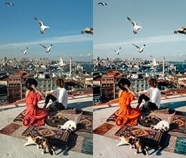 Lightroom Presets Salt in our Hair before after