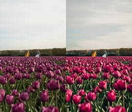 Lightroom Presets Salt in our Hair before after